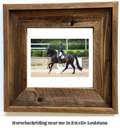 horseback riding near me in Estelle, Louisiana